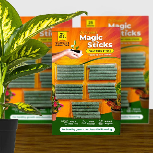 Magic Boosters Plant Nutrition Sticks 🌱