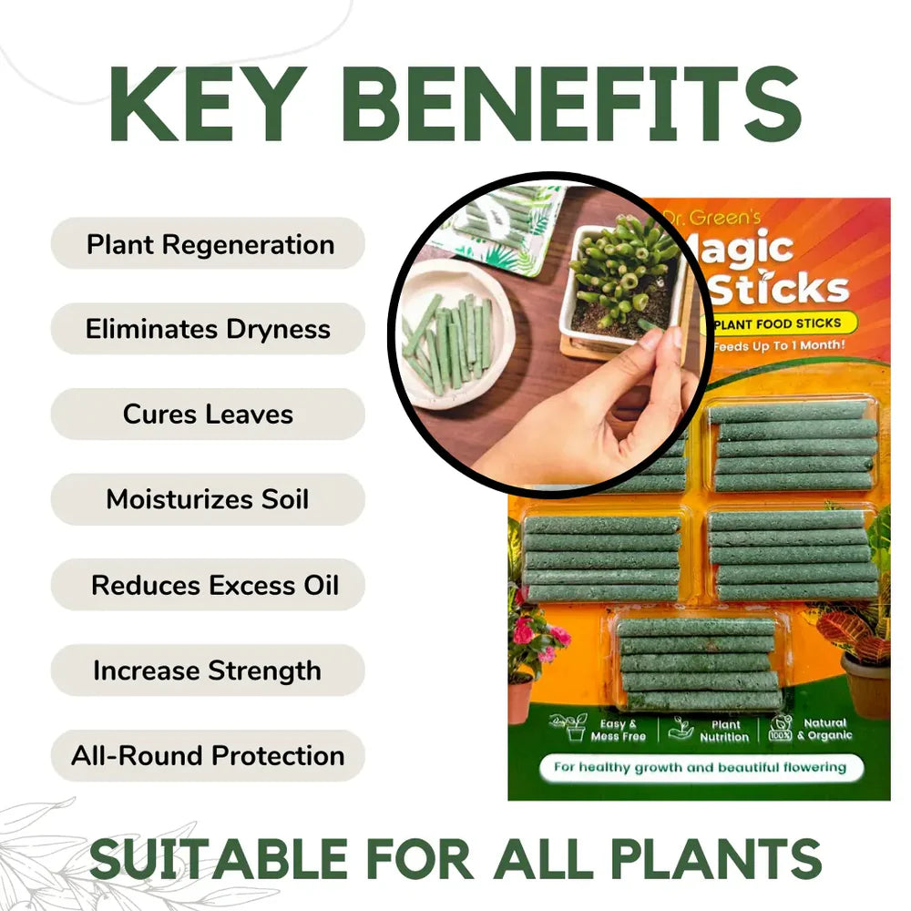 Magic Boosters Plant Nutrition Sticks 🌱
