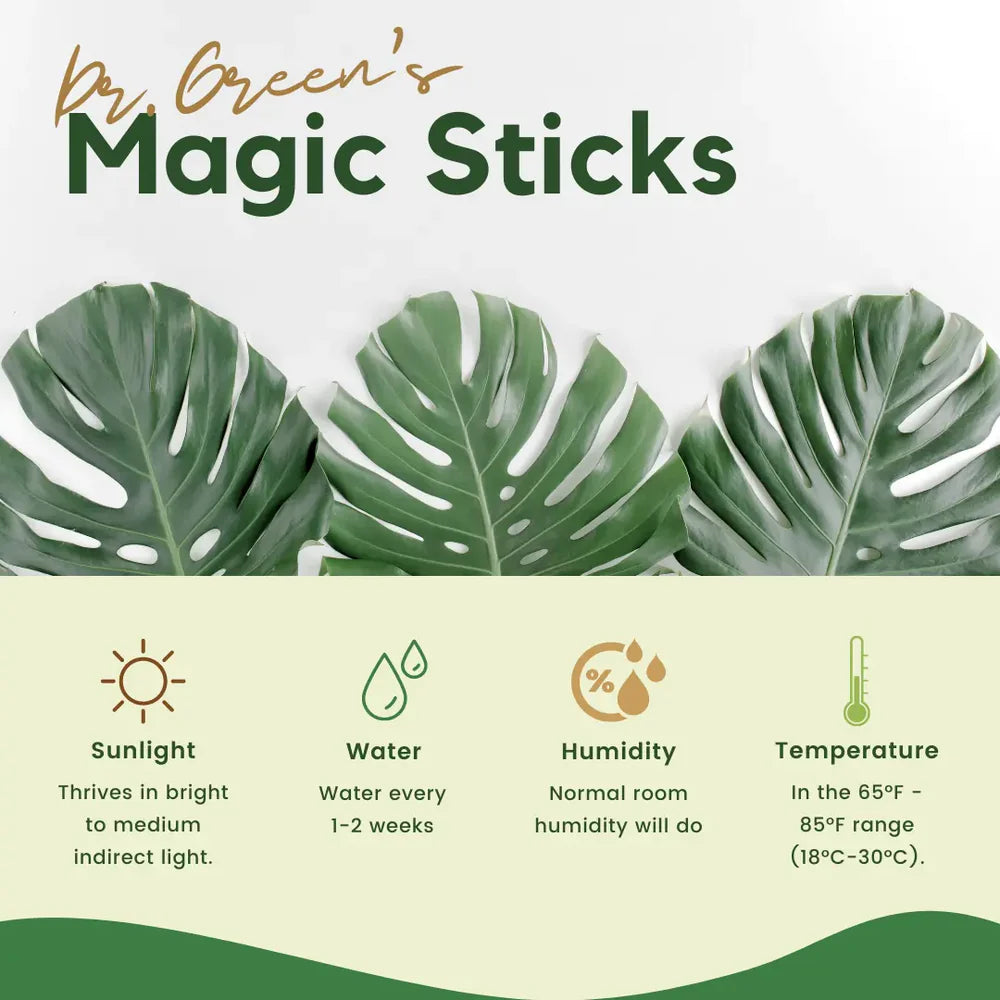 Magic Boosters Plant Nutrition Sticks 🌱