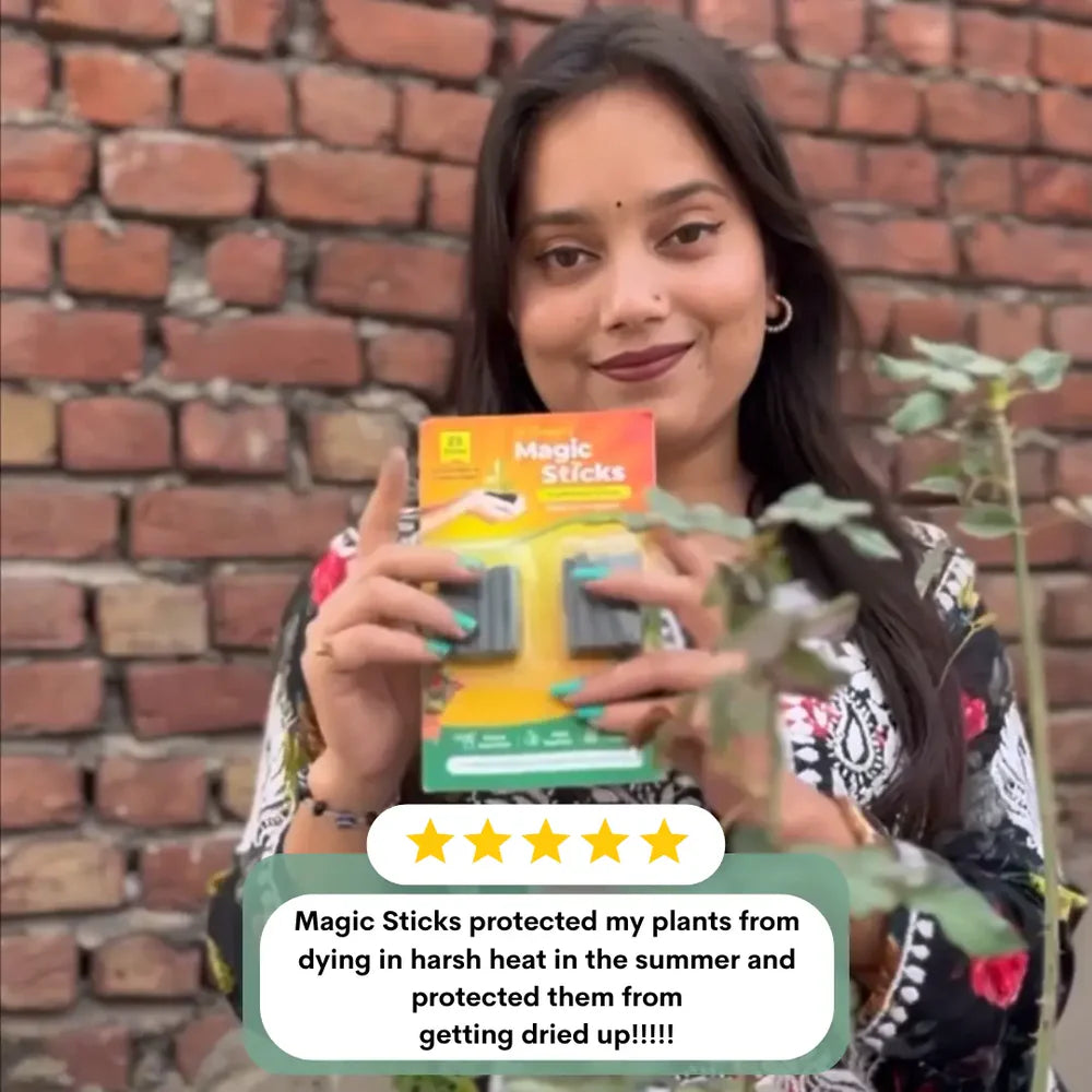 Magic Boosters Plant Nutrition Sticks 🌱