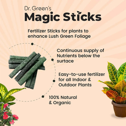 Magic Boosters Plant Nutrition Sticks 🌱