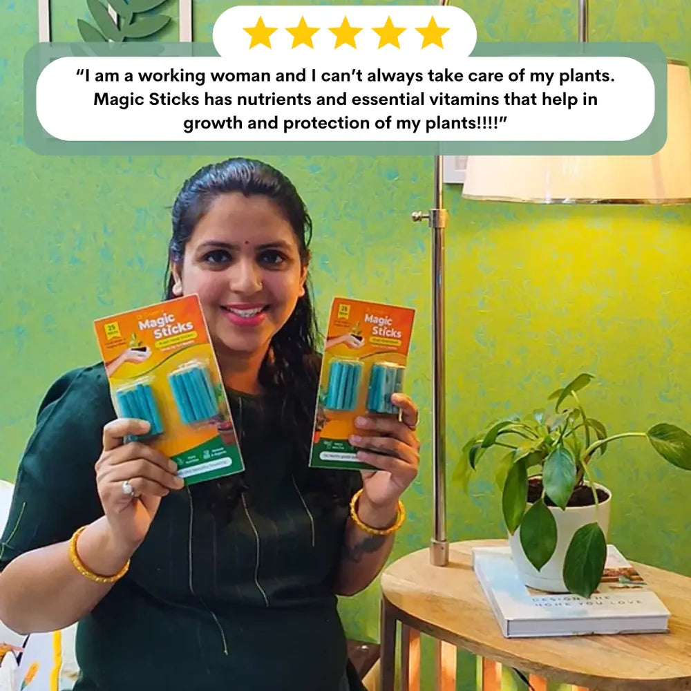 Magic Boosters Plant Nutrition Sticks 🌱