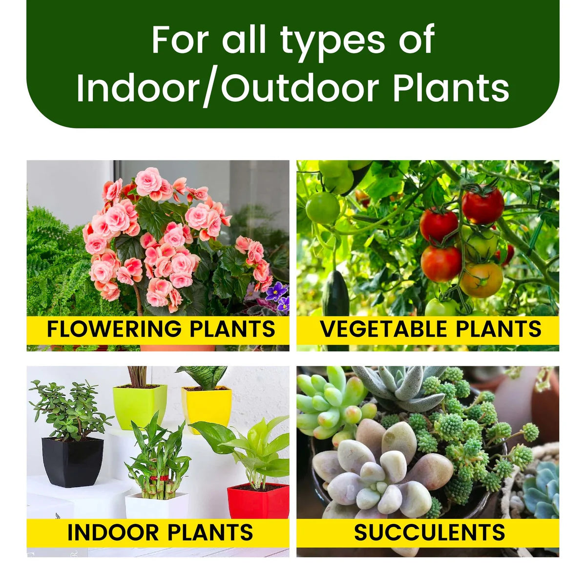 Magic Boosters Plant Nutrition Sticks 🌱