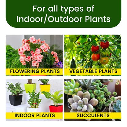 Magic Boosters Plant Nutrition Sticks 🌱