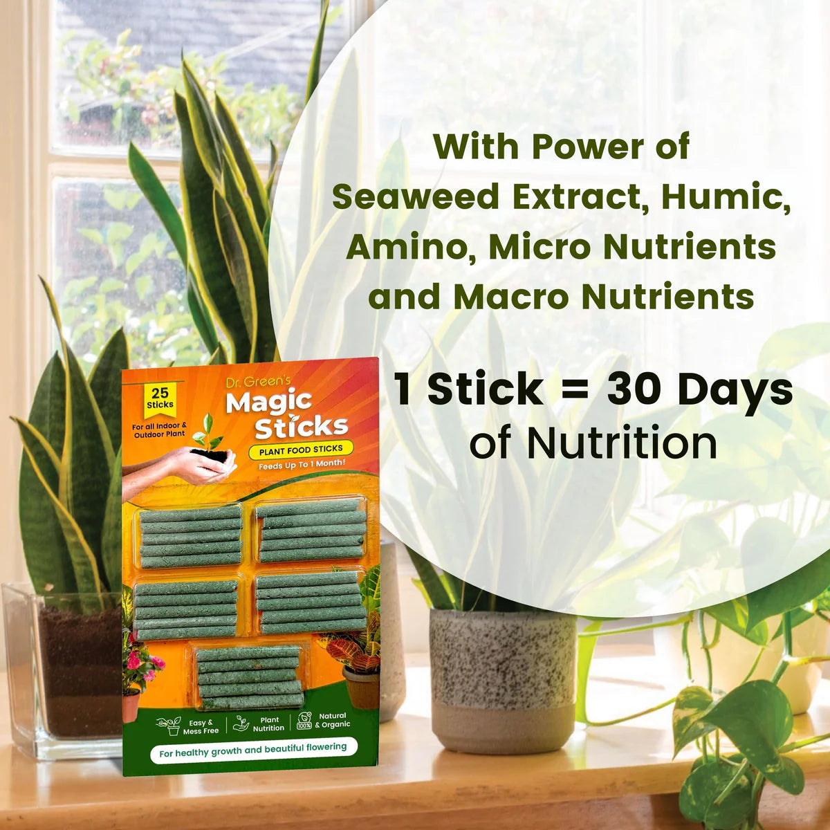 Magic Boosters Plant Nutrition Sticks 🌱