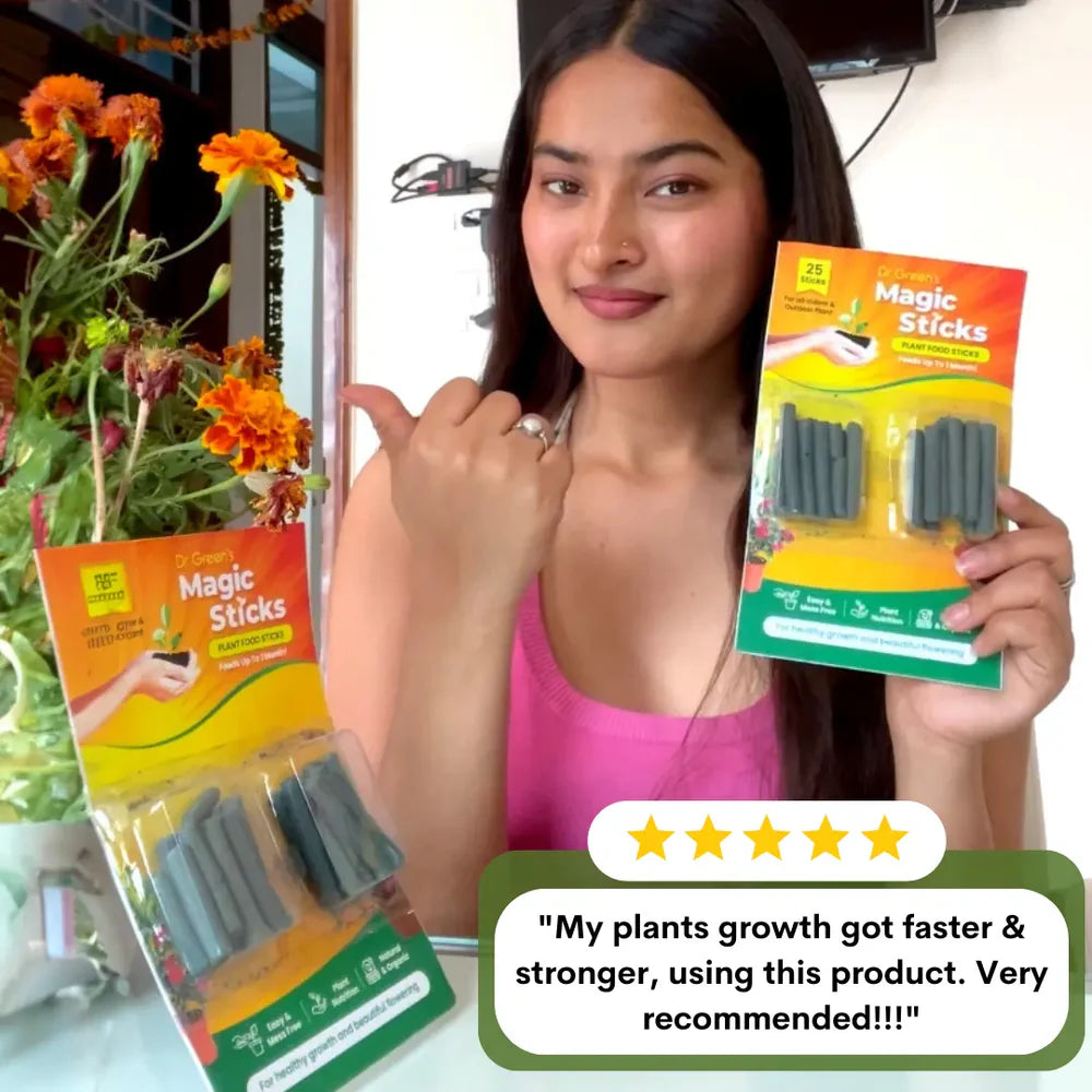 Magic Boosters Plant Nutrition Sticks 🌱
