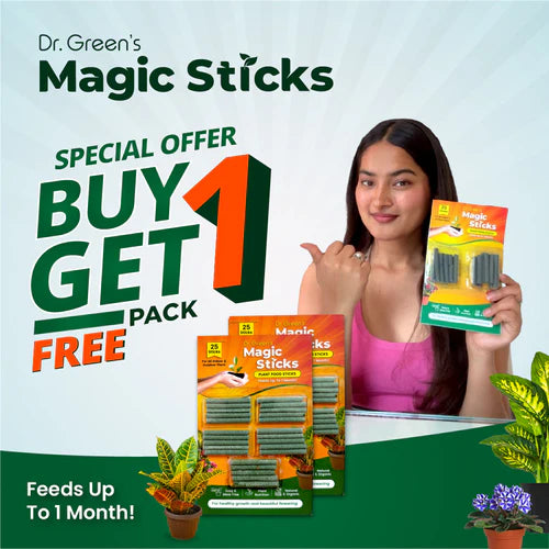 Magic Boosters Plant Nutrition Sticks 🌱